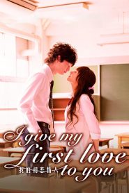 เพราะหัวใจบอกรักได้ครั้งเดียว I Give My First Love to You (2009)