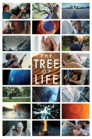 เดอะ ทรี ออฟ ไลฟ์ ต้นไม้แห่งชีวิต The Tree of Life (2011)