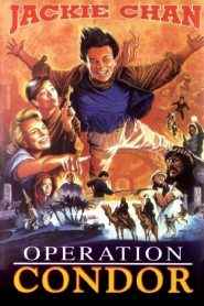 ใหญ่สั่งมาเกิด 2 ตอน อินทรีทะเลทราย Armour of God 2: Operation Condor (1991)