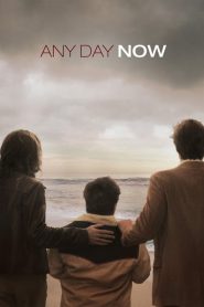วันหนึ่ง วันหน้า วันที่รักจะมาถึง Any Day Now (2012)