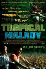 สัตว์ประหลาด Tropical Malady (2004)