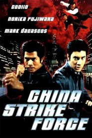 เหิรเกินนรก China Strike Force (2000)
