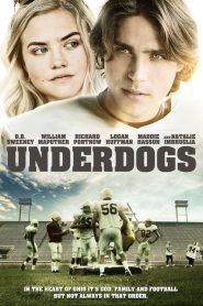 มหัศจรรย์ ทีมเตะทะลุมิติ Underdogs (2013)