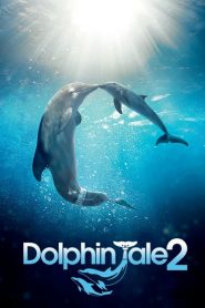 มหัศจรรย์โลมาหัวใจนักสู้ 2 Dolphin Tale 2 (2014)