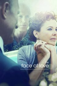 มหัศจรรย์รัก ปาฏิหาริย์แห่งชีวิต The Face of Love (2013)
