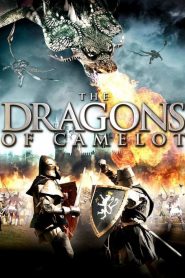 ศึกอัศวินถล่มมังกรเพลิง Dragons of Camelot (2014)