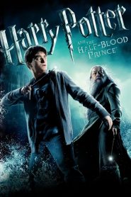 แฮร์รี่ พอตเตอร์กับเจ้าชายเลือดผสม Harry Potter and the Half-Blood Prince (2009)