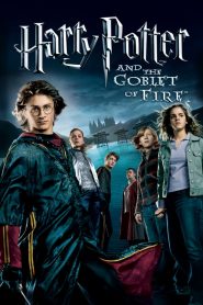แฮร์รี่ พอตเตอร์กับถ้วยอัคนี Harry Potter and the Goblet of Fire (2005)