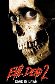 ผีอมตะ 2 ไปเกิดซะเถิดไป๊ Evil Dead II (1987)