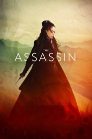 ประกาศิต หงส์สังหาร The Assassin (2015)