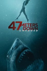 47 ดิ่งลึกสุดนรก 47 Meters Down: Uncaged (2019)