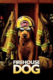 ยอดคุณตูบ ฮีโร่นักดับเพลิง Firehouse Dog (2007)
