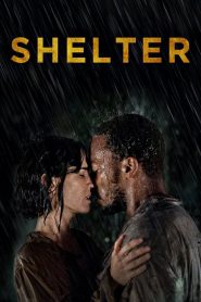 คืนเหงา เราสอง Shelter (2014)