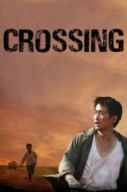 พลัดรัก พรากหัวใจ Crossing (2008)