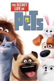 เรื่องลับแก๊งขนฟู The Secret Life of Pets (2016)