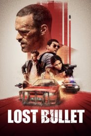 แรงทะลุกระสุน Lost Bullet (2020)