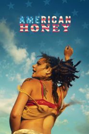 อเมริกัน ฮันนี่ American Honey (2016)