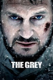 ฝ่าฝูงเขี้ยวสยองโลก The Grey (2011)