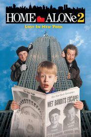โดดเดี่ยวผู้น่ารัก 2 ตอน หลงในนิวยอร์ค Home Alone 2: Lost in New York (1992)