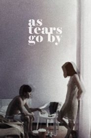 ทะลุกลางอก As Tears Go By (1988)