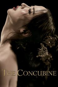 นางวัง บัลลังก์เลือด The Concubine (2012)