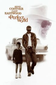คนจริงโลกทรนง A Perfect World (1993)