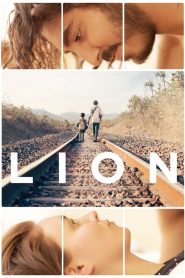 จนกว่าจะพบกัน Lion (2016)