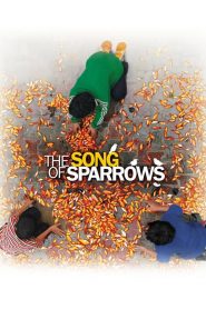 ฝันไม่สิ้นหวัง The Song of Sparrows (2008)