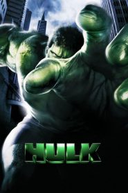 มนุษย์ยักษ์จอมพลัง Hulk (2003)