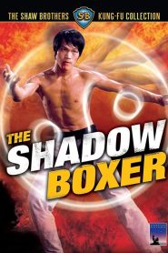 ผู้ยิ่งยงแห่งไทเก๊ก The Shadow Boxer (1974)