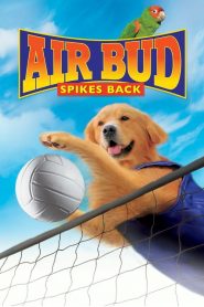 ซุปเปอร์หมา ตบสะท้านคอร์ด Air Bud: Spikes Back (2003)