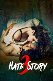 เกลียดเข้าไส้ 3 Hate Story 3 (2015)