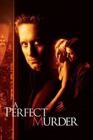 เจ็บหรือตายอันตรายเท่ากัน A Perfect Murder (1998)