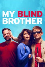 พี่ชายคนตาบอด My Blind Brother (2016)