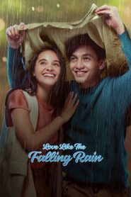 รักดั่งสายฝน Love Like the Falling Rain (2020)