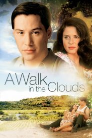 จะขอบูชาหัวใจเธอไว้ที่วิมานเมฆ A Walk in the Clouds (1995)