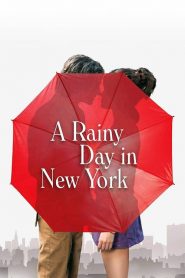 วันฝนตกในนิวยอร์ก A Rainy Day in New York (2019)