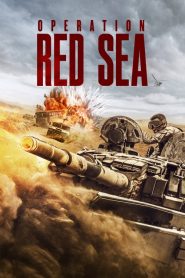 ยุทธภูมิทะเลแดง Operation Red Sea (2018)