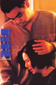 ตำรวจมหาประลัยขวางนรก Loving You (1995)