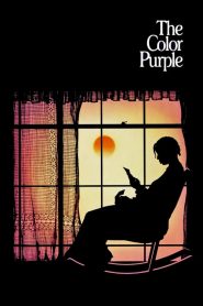 เลือดสีม่วง The Color Purple (1985)