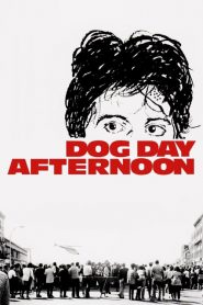 ปล้นกลางแดด Dog Day Afternoon (1975)