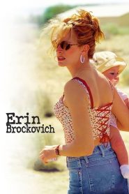 ยอมหักไม่ยอมงอ Erin Brockovich (2000)