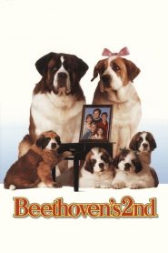 บีโธเฟน ชื่อหมาแต่ไม่ใช่หมา 2 Beethoven’s 2nd (1993)