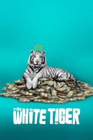 พยัคฆ์ขาวรำพัน The White Tiger (2021)