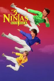 นินจิ๋ว นินจา นินแจ๋ว – ลูกเตะมหาภัย 3 Ninjas Kick Back (1994)
