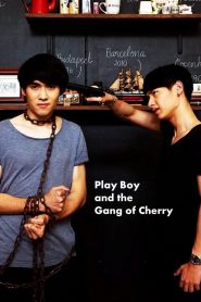 PlayBoy (and the Gang of Cherry) (2017)