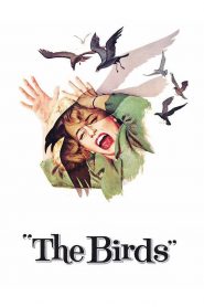 นก นก นก The Birds (1963)