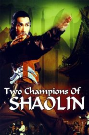 จอมโหดเส้าหลินถล่มบู๊ตึ้ง Two Champions of Shaolin (1980)