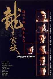 โหดตามพินัยกรรม The Dragon Family (1988)