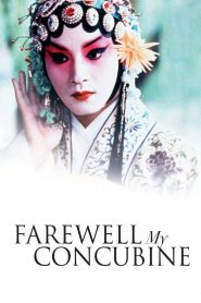 หลายแผ่นดิน..แม้สิ้นใจก็ไม่ลืม Farewell My Concubine (1993)